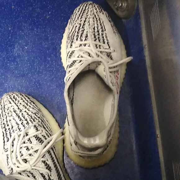 Yeezy Zebra - Picture 2 of 2